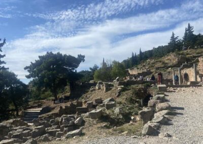 DELPHI 5